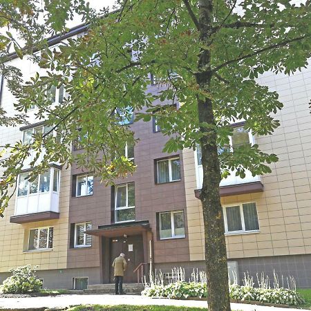 Siauliai Central Spot Apartment - Draugystes Pr. Kültér fotó